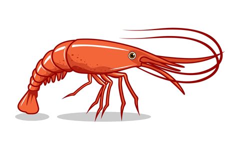 Shrimp Illustrations Prawn Cartoon Vector Art At Vecteezy