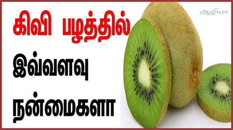 Use them as a handy ingredient in many different most jambu. Kiwi Fruit | Kiwi Fruit in Tamil | Kiwi Fruit Benefits in ...
