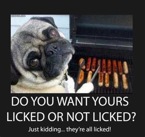 Restaurant memes that only chefs, servers, and managers will understand, provided by the sassy food meme hottest restaurant memes. TMP "The last word on TMP" Topic