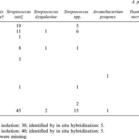 The Localization And Cause Of Valvular Endocarditis In 117 Slaughter