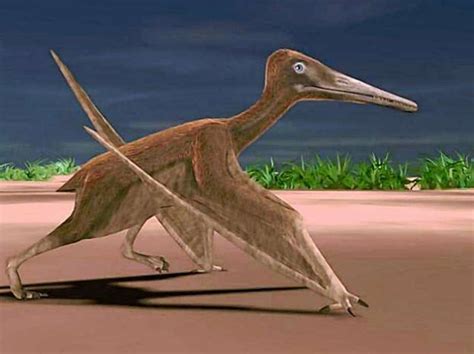 Fossils Of Pterosaur Flying Texas Reptile Unearthed By Smu Researchers Houston Chronicle