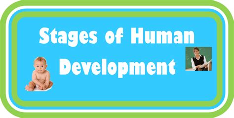 Folder Games And More Stages Of Human Development