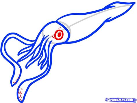 How To Draw A Giant Squid Giant Squid Step By Step Sea Animals