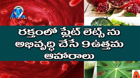 9 Best Foods To Increase Blood Platelets Naturally Blood Platelets