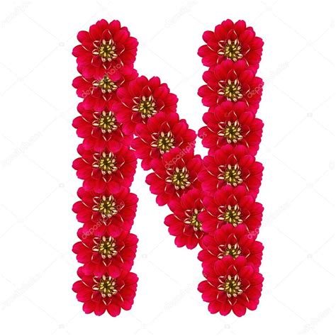 Letter N From Red Flowers — Stock Photo © Irogova 27951443