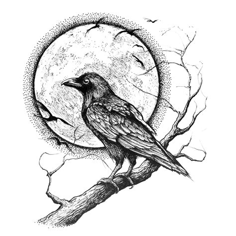 Raven And Full Moon 8x8 Art Print Of Original Ink Drawing Etsy
