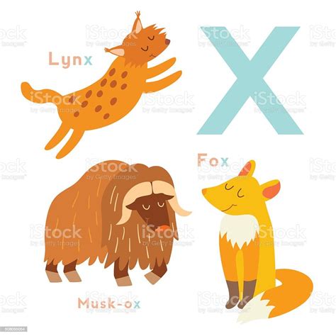 X Letter Animals Set English Alphabet Vector Illustration Stock