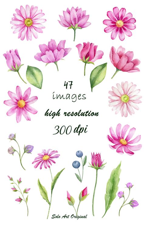 Pink Wildflowers Watercolor Graphic Collection By Solo Art Original TheHungryJPEG