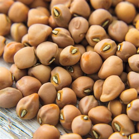 Mississippi Silver Hull Cowpea Seeds Brown Crowder Cow Pea Etsy