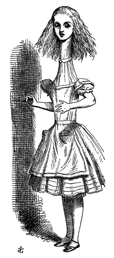Carroll Alice 1865 Drawing By Granger Fine Art America