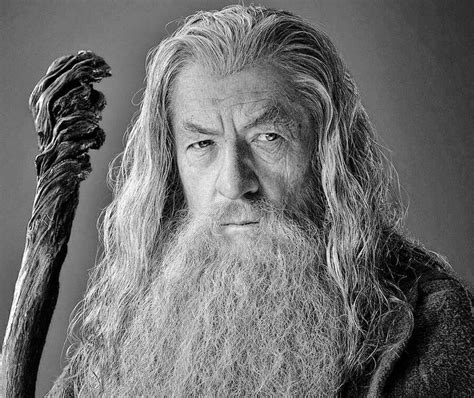 Lord Of The Rings Gandalf The Grey Gandalf The Grey Lord Of The