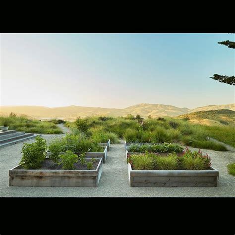 May 13, 2019 · david is the cofounder of terremoto, a landscape d. TERREMOTO LANDSCAPE on Instagram: "Nicasio, recently ...