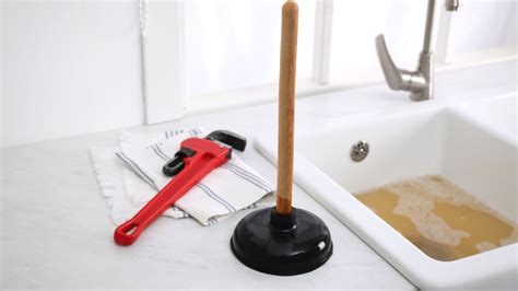 Common Causes Of Clogged Drains And How To Fix Them ‐ Woolf Plumbing