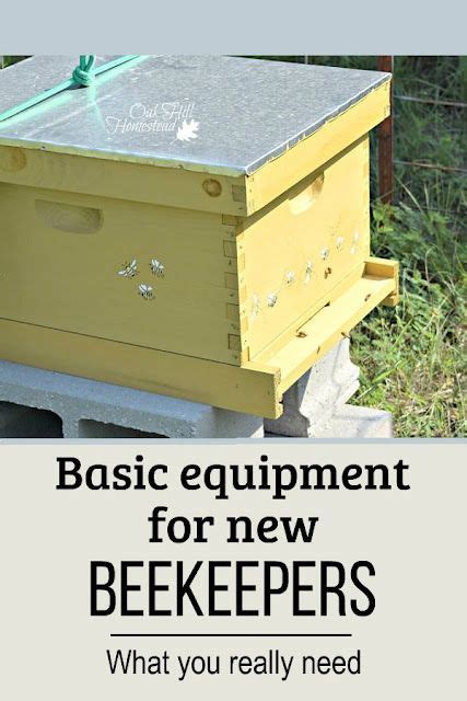 Thinking About Getting Bees This Year Heres The Basic Beekeeping