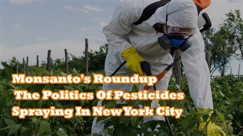 Monsantos Roundup The Politics Of Pesticides And The Mass Spraying In New York City Youtube
