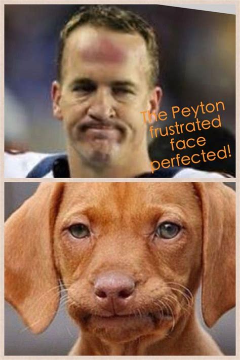 Peyton Mannings Dog Too Funny Check This Out Too Rolltidewareagle