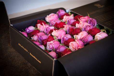 10 Rosas En Caja Que Te Encantaría Recibir De Regalo