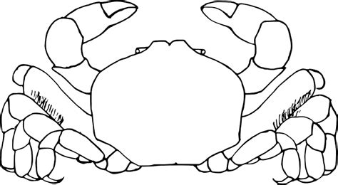 Crab Black And White Clipart Free Download Transparent Png Creazilla