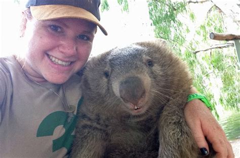 Bright Idea Gives Tonka The Clinically Depressed Wombat Back His Smile