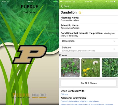 Purdue Launches Turf Diagnostic Mobile App Purdue University
