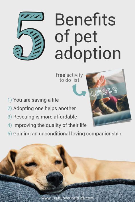5 Benefits Of Adopting A Pet Shelter Animals Adoption Pet Adoption