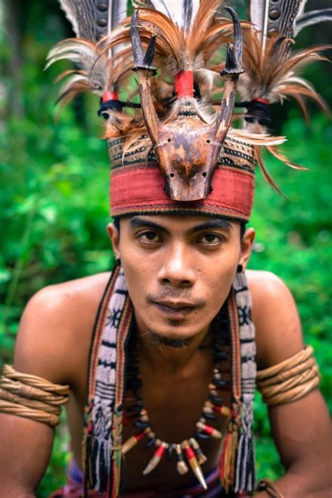 Dayak Tộc Người Bản địa Trên đảo Borneo Báo Dân Tộc Và Phát Triển