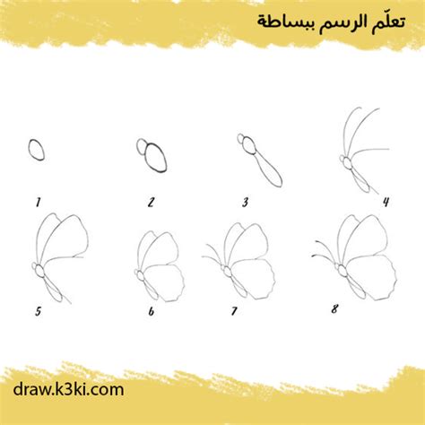 رسم فراشة بالرصاص بالخطوات بطريقة سهلة تعلم الرسم