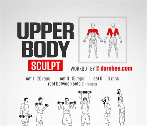 Upper Body Workout Chest And Arms Full Body Workout Blog