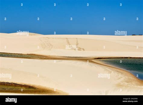 Sand Dunes Ans Lagoons In Lencois Maranhenses National Park Brazil