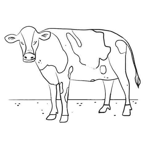 Free Vector Hand Drawn Cow Outline Illustration