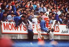 Hillsborough County Arrest Inquiry A Tale Of Wrongful Convictions