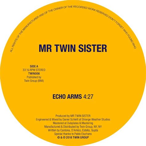 Mr Twin Sister Echo Arms Música Instantânea