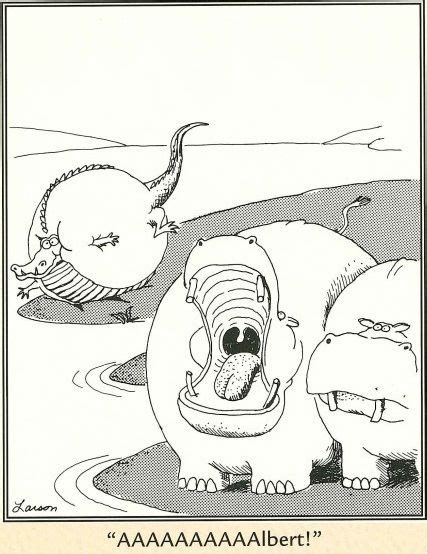 The Far Side By Gary Larson No Need For Concern That Crocodile