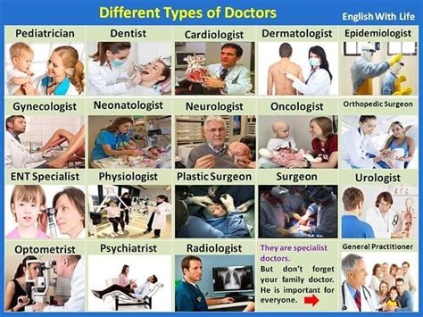 Different Types Of Doctors Vocabulary Attanatta Flickr
