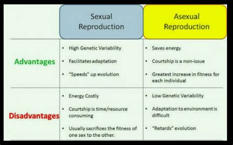 Q1 What Are The Advantages And Disadvantages Of Sexual And Asexual Reproduction Science How