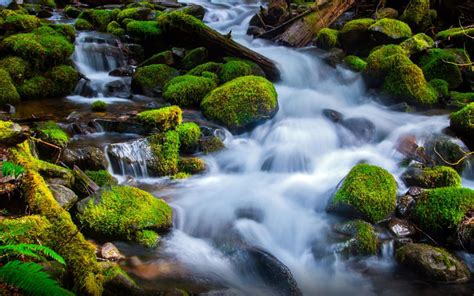 Landscape Mountain River Stones With Green Moss Foaming Water Hd