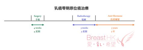 Treatment Timelinestage0 Breast Cancer Hk 香港的乳癌治療資訊