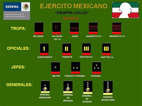 Rangos Rangos Militares Fuerzas Armadas De Mexico Militar