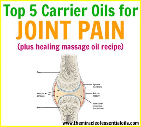 Top 5 Carrier Oils For Joint Pain Relief The Miracle Of Essential Oils