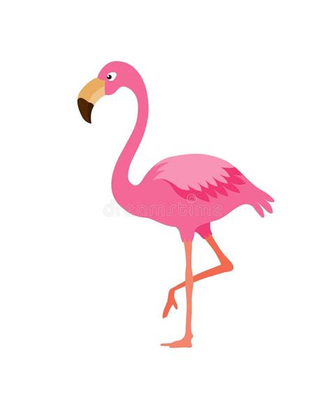 Flamingo Stock Illustrations 52552 Flamingo Stock Illustrations