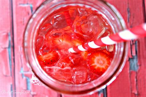 Watermelon Detox Water Recipe Budget Savvy Diva