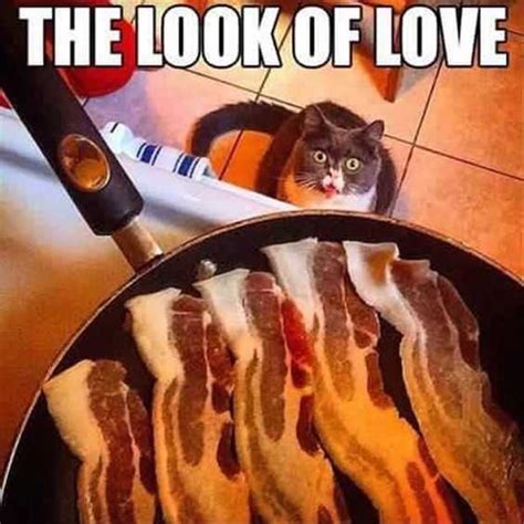 43 Funny Images Just For Bacon Lovers