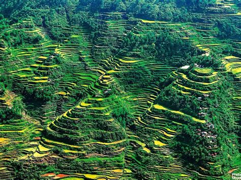 28 Breathtaking Wonders Of The World You Have To See Banaue Rice