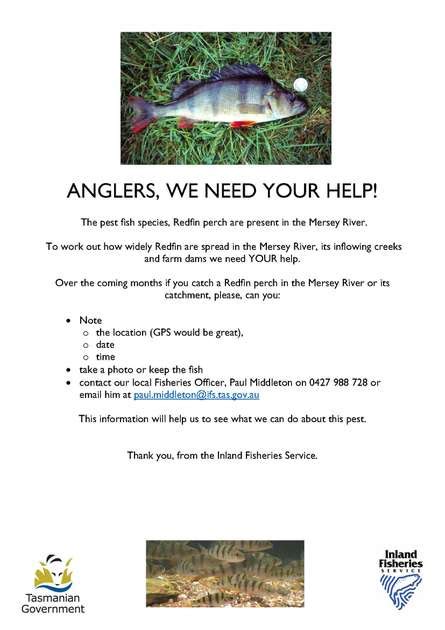 When i look there is no shop. ANGLERS, WE NEED YOUR HELP!