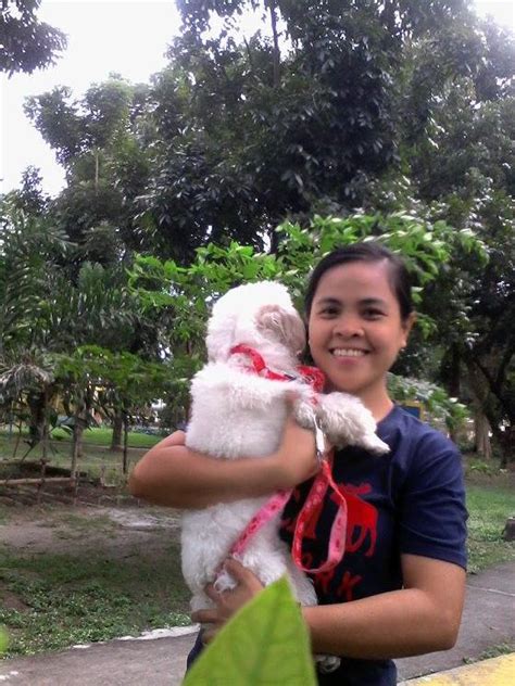 We are currently near our capacity for rescued kittens and cats! Oxy: Half maltese half poodle - Makati Dog and Cat Hospital