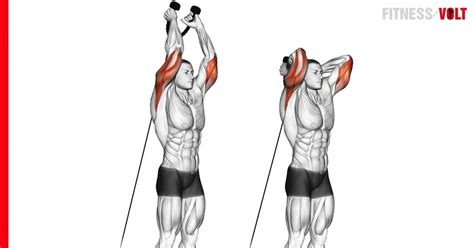 How To Do The Cable Overhead Triceps Extension W Rope Fitness Volt