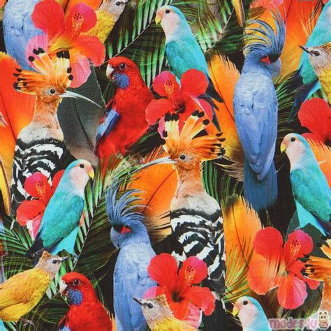 Jersey Knit Fabric With Colorful Exotic Birds Modes4u