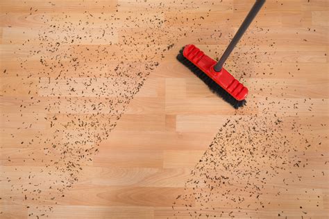 Sweep A Floor Without Leaving Dust And Dirt Behind J And Rs