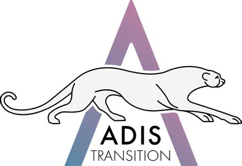 Adis Transition - Management de transition