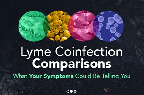 Lyme Coinfection Comparisons What Your Symptoms Could Be Telling You